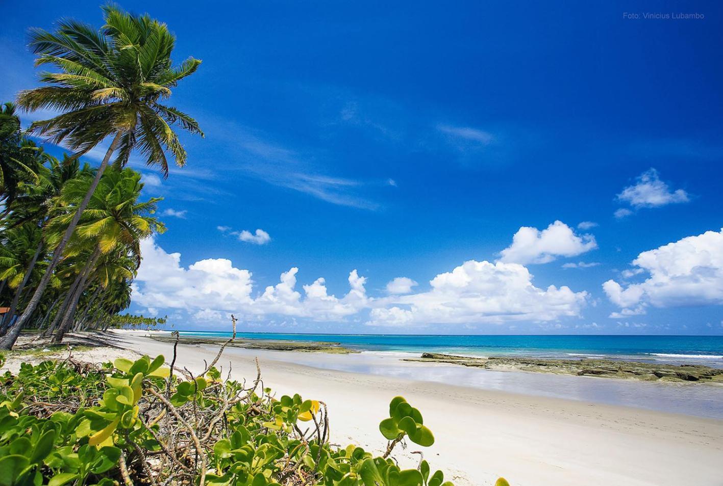 Carneiros Beach Resort Praia dos Carneiros Eksteriør bilde