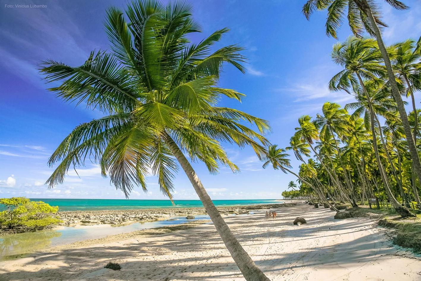 Carneiros Beach Resort Praia dos Carneiros Eksteriør bilde